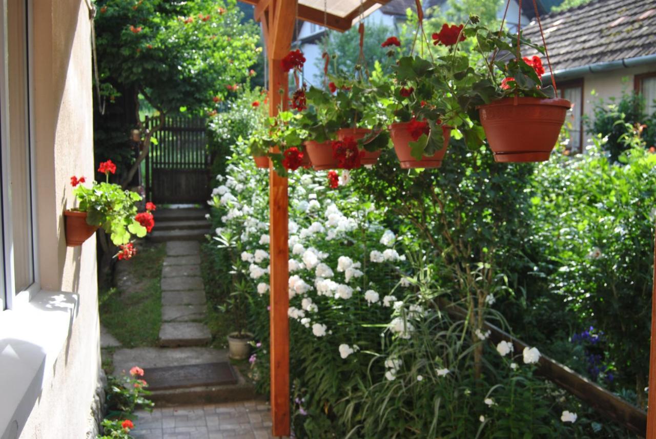 Ferienwohnung Casa Kelemen Sovata Exterior foto