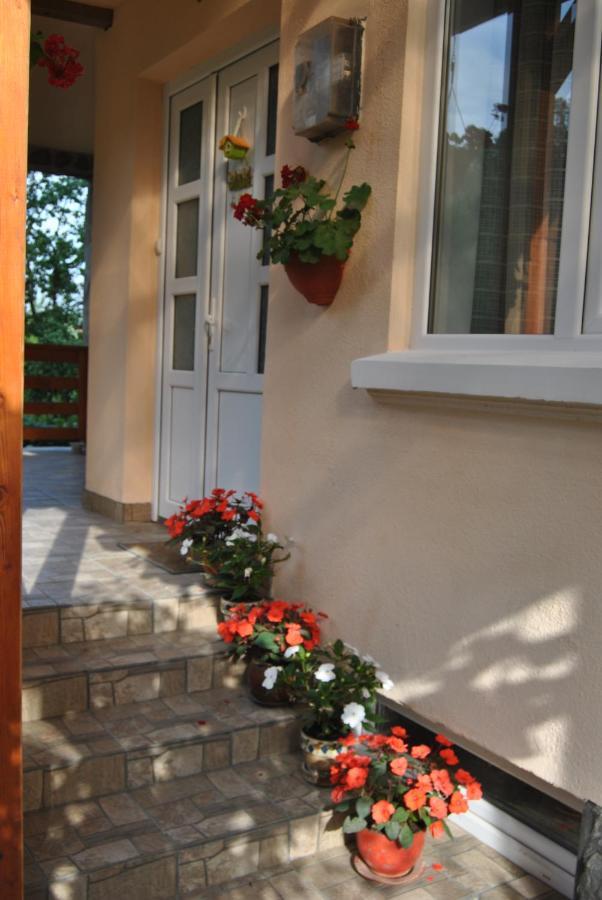 Ferienwohnung Casa Kelemen Sovata Exterior foto
